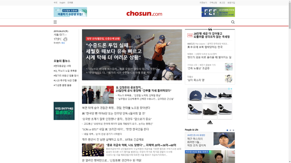 snapshot_20190601_www_chosun_co_kr.png