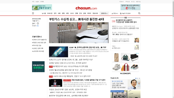 snapshot_20190625_www_chosun_co_kr.png